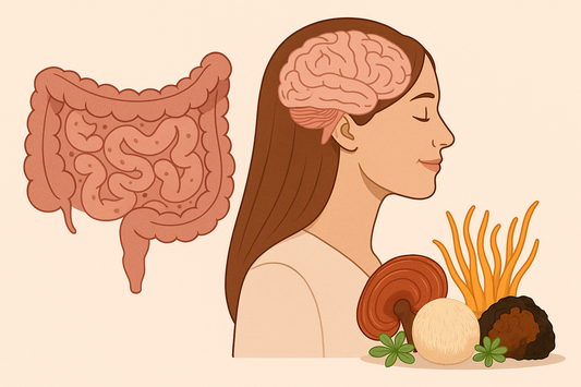 Microbiote intestinal, santé mentale et champignons adaptogènes : un lien puissant enfin expliqué