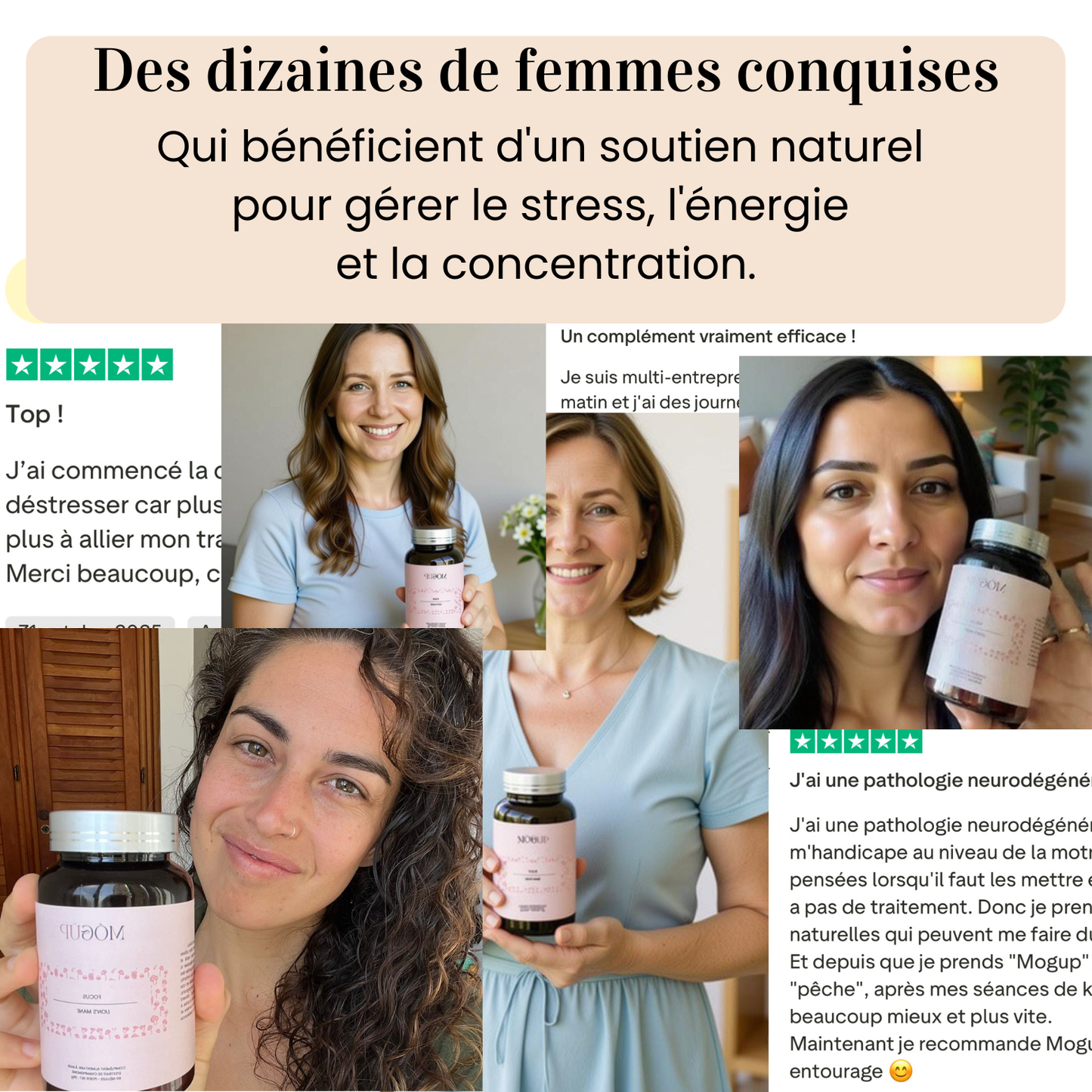 Lion's Mane - L'allié naturel du système nerveux