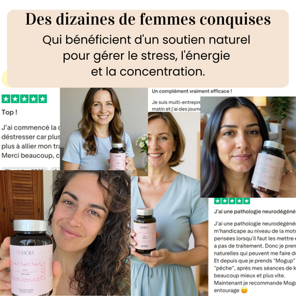 Lion's Mane - L'allié naturel du système nerveux